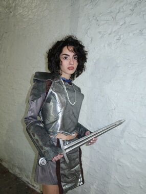 Rubie's Knight in Armor Costume with Swords